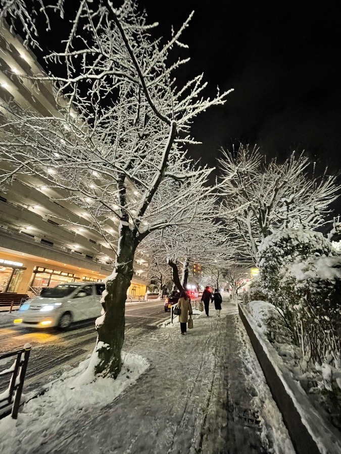 関東も雪　先日