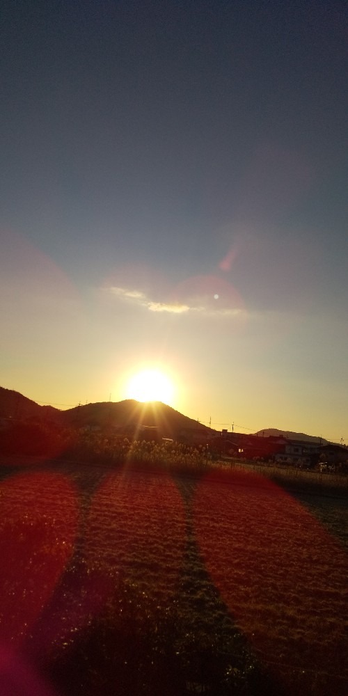 初日の出🆕🌄