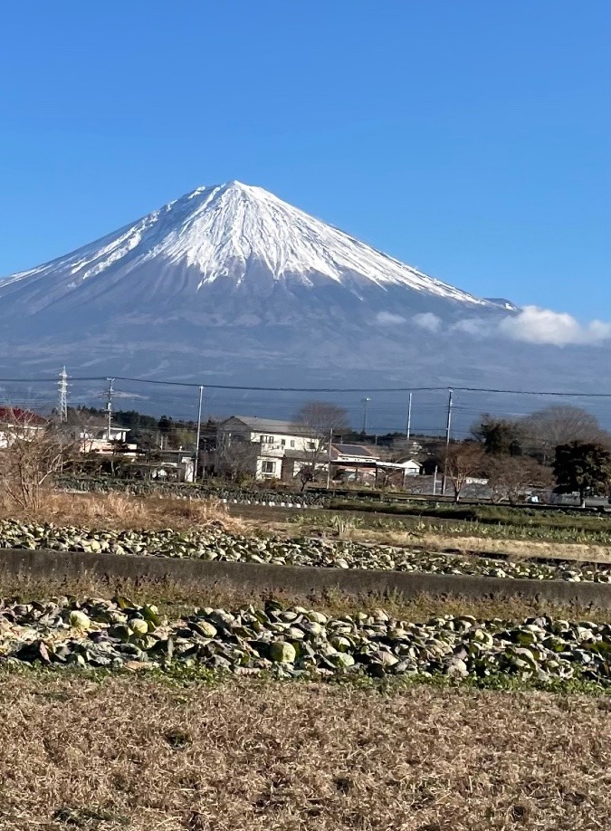 明けましておめでとうございます