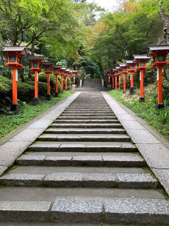 謹賀新年⛩