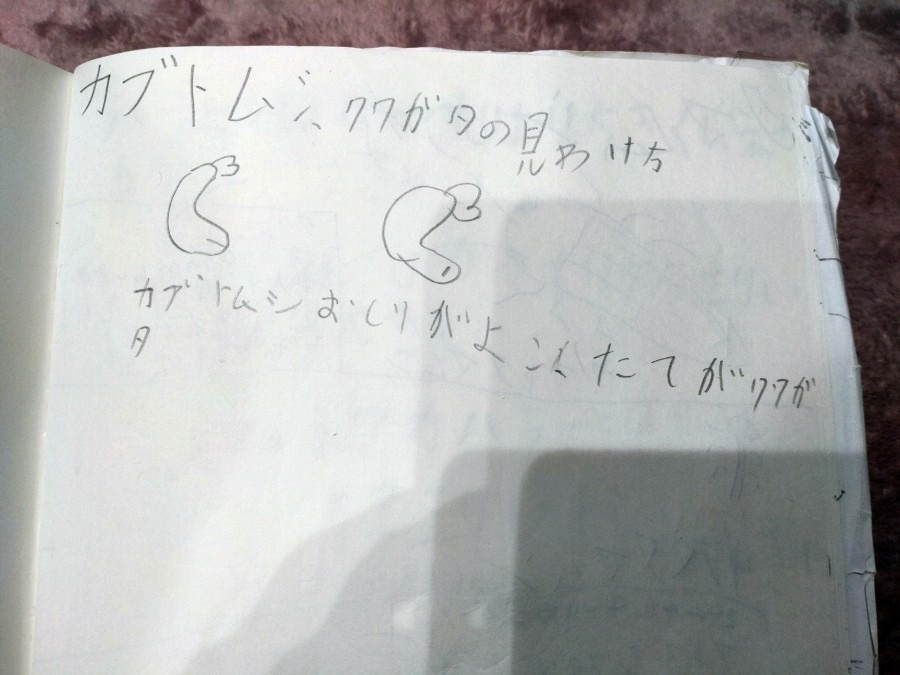 虫博士への道　３８