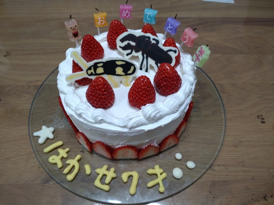 虫博士の誕生日！！