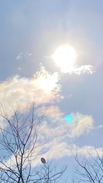 1月5日快晴彩雲🌈✨