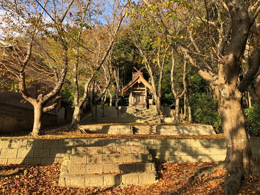 とある神社の近くの隠れパワースポット