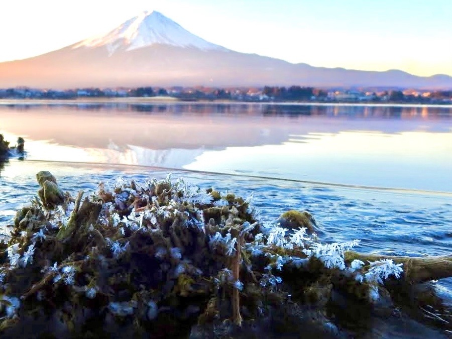 河口湖畔