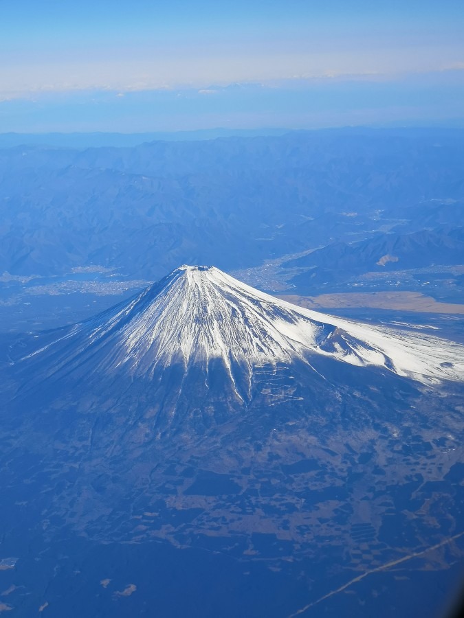 運試し🌟その１