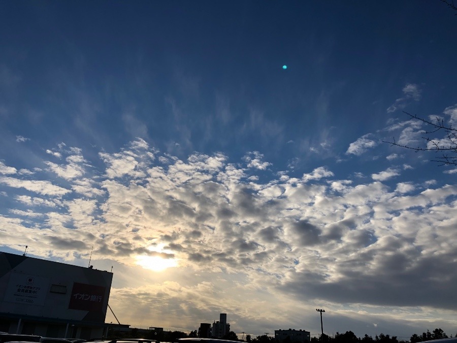 気持ちのいい空😊✨✨