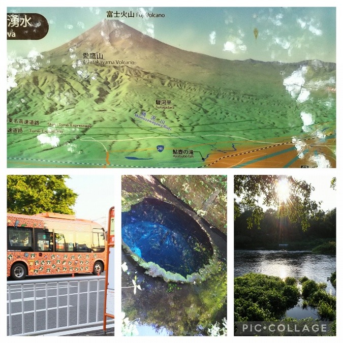 柿田川湧水群✨🗻