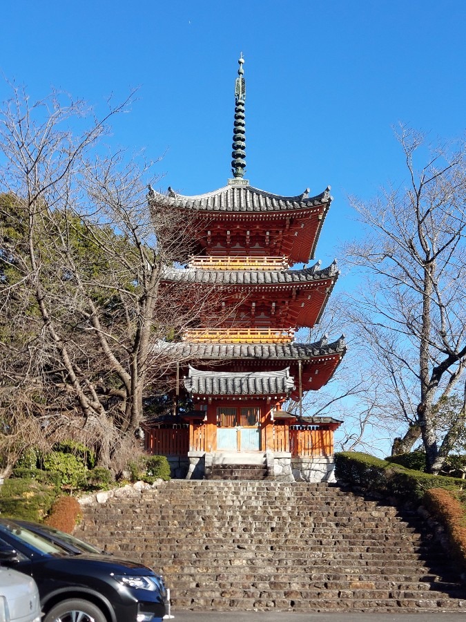 奥山で初詣⛩️