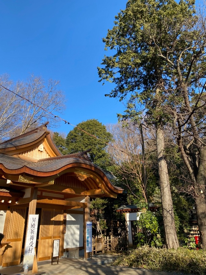 石神井郷総鎮守　氷川神社