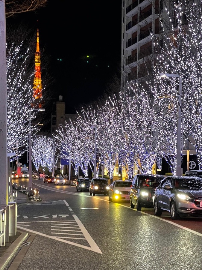 けやき坂からの東京タワー