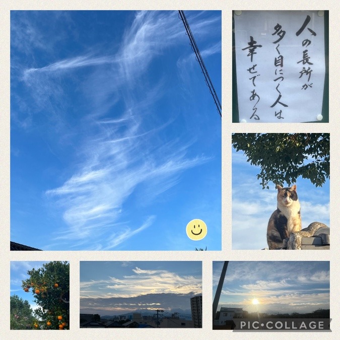 今日の朝活☀️