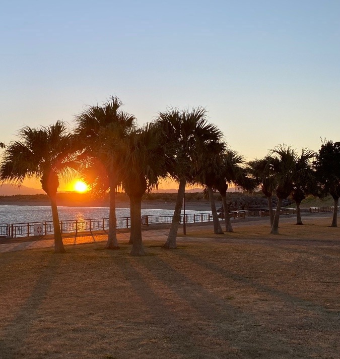 今日の夕日✨