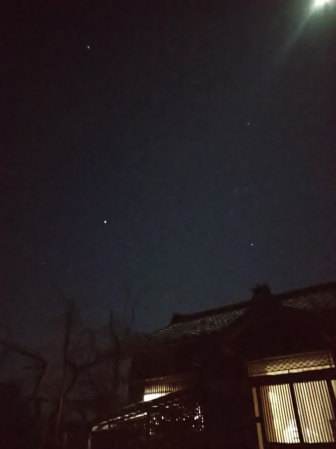 冬の星座