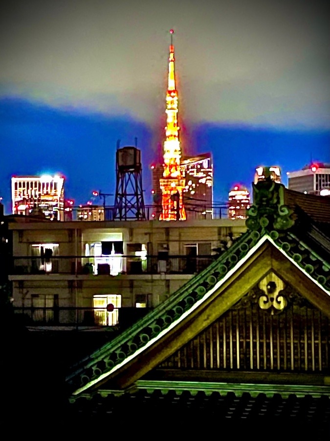 ✨弟宅から見える東京タワー✨