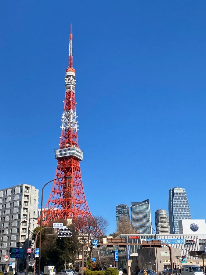 東京タワー🗼