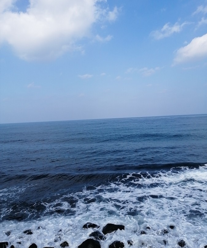 糸島の海