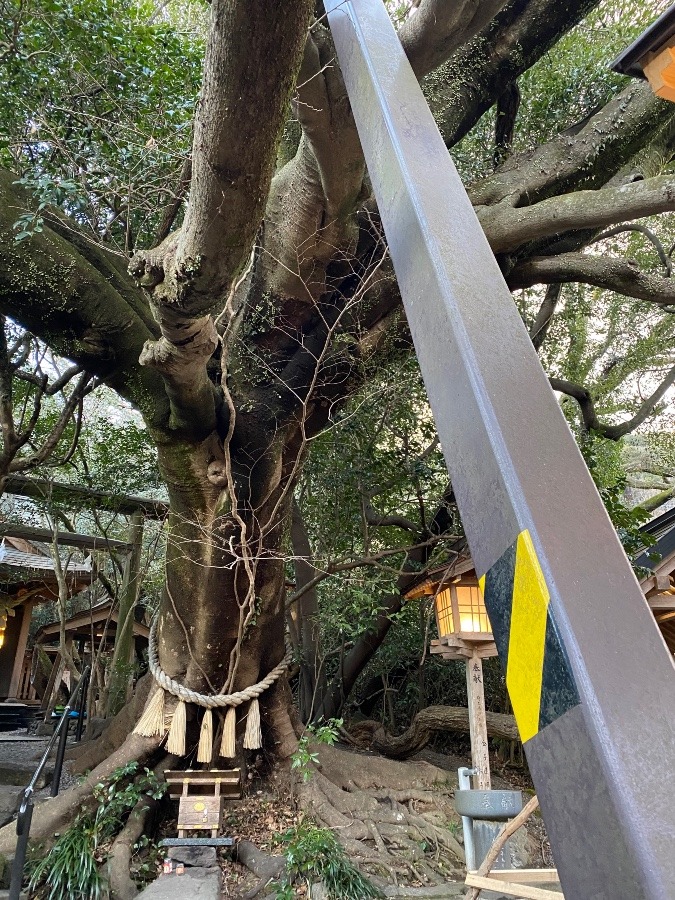 八大龍王水神社⛩🐉高千穂パワースポット