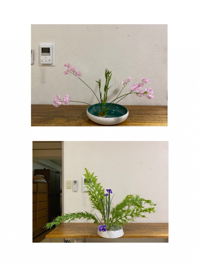 お花の基礎🌸