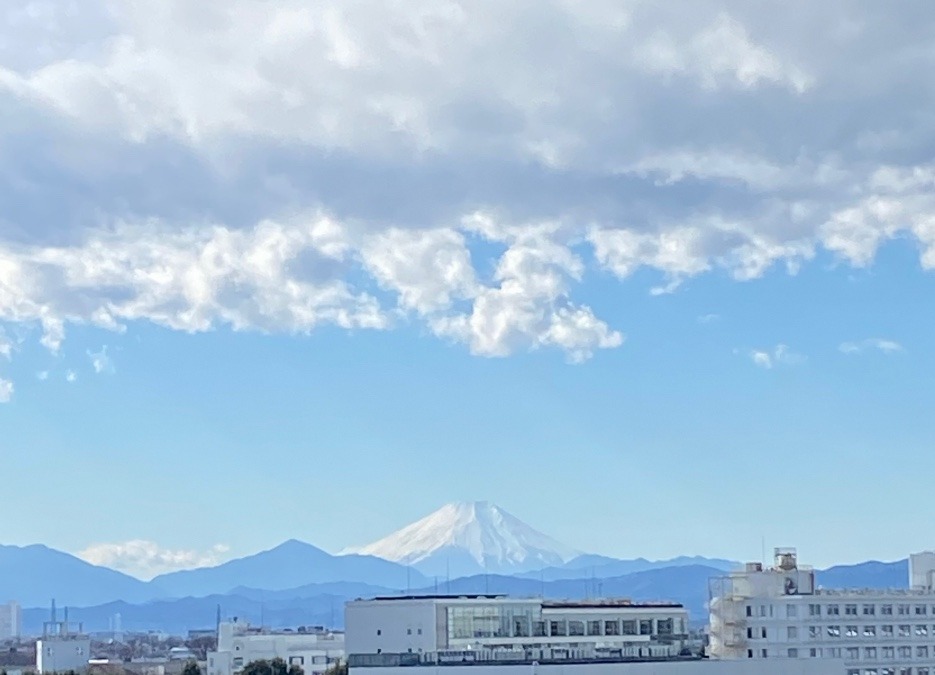 今日も定点撮影