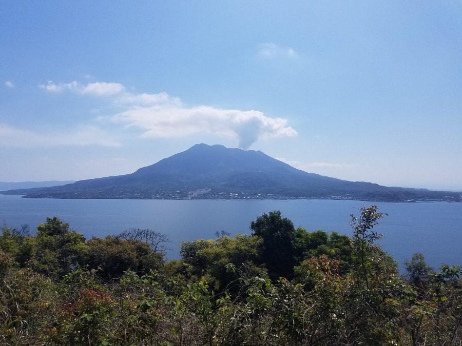 桜島