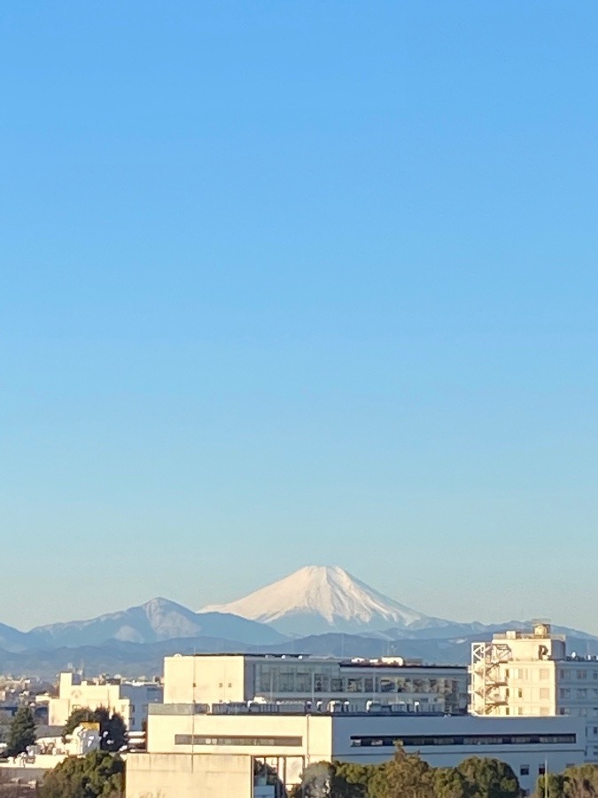 今朝の富士山