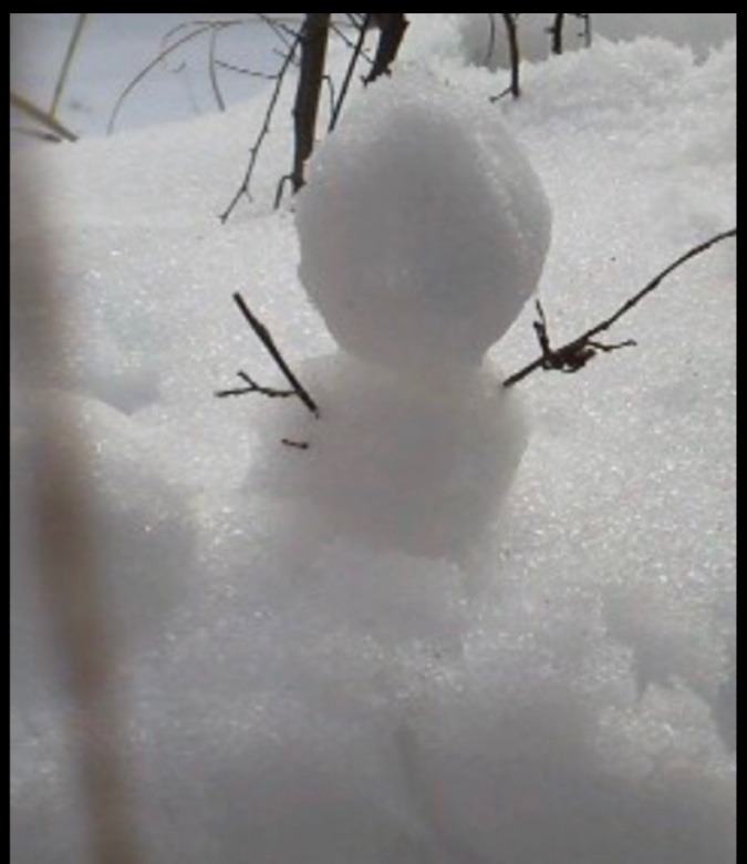 雪だるま ⛄️