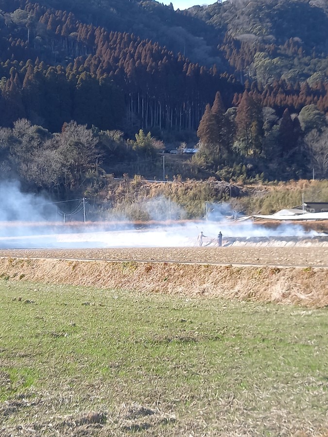 地区の行事　畔焼き