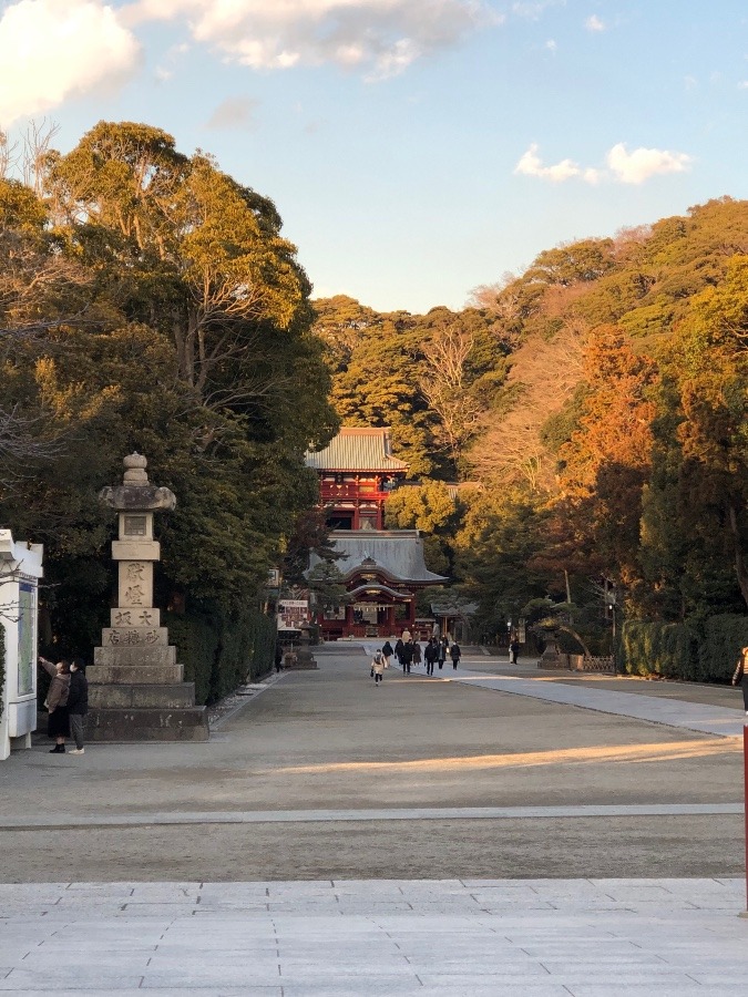 鎌倉鶴岡八幡宮