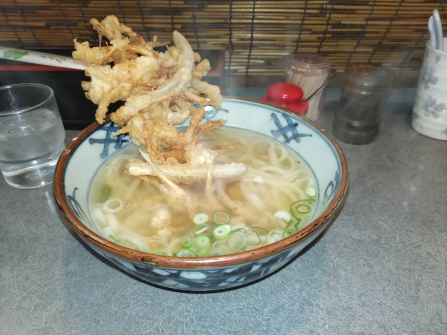 ごぼう天うどん