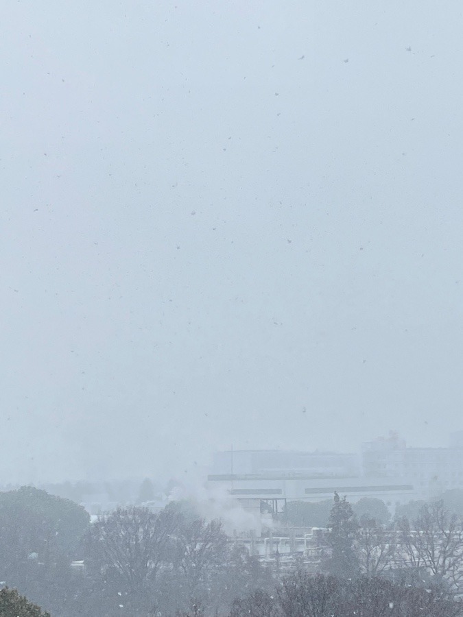 富士山は雪で真っ白