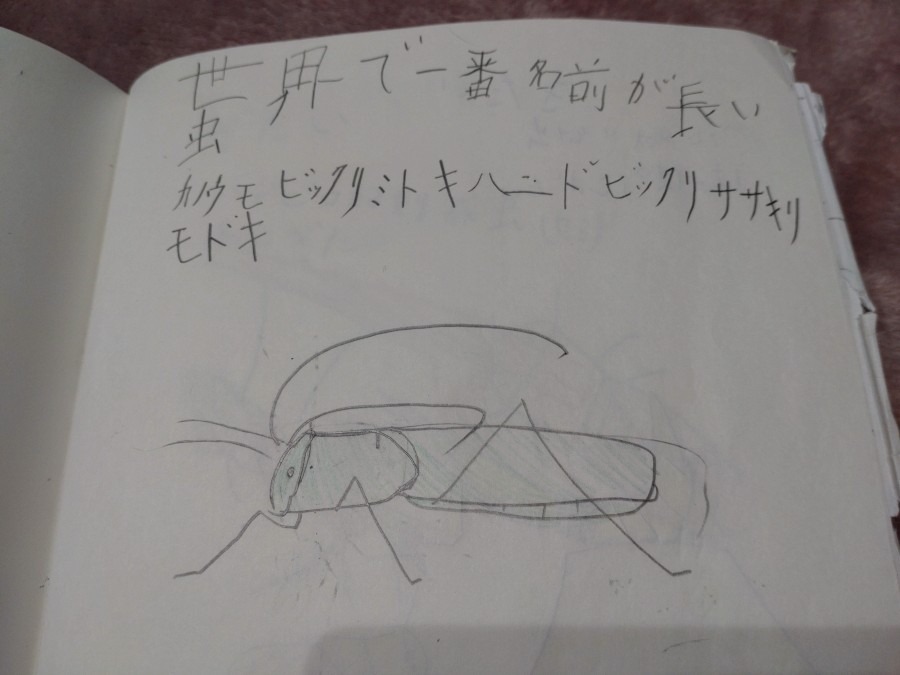 虫博士への道　６１