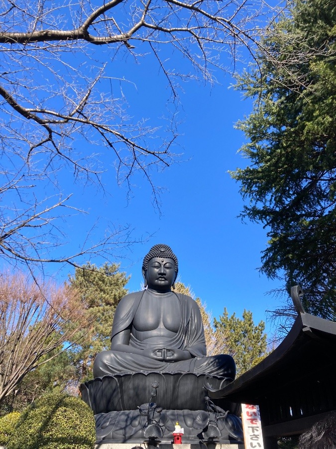 東京大仏