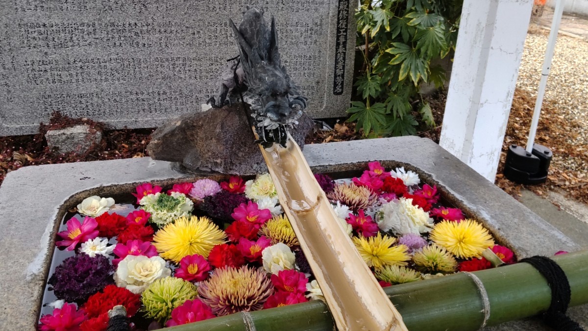 姫嶋神社🏵️