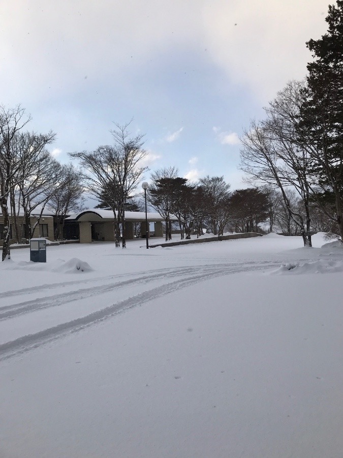 また除雪☃️