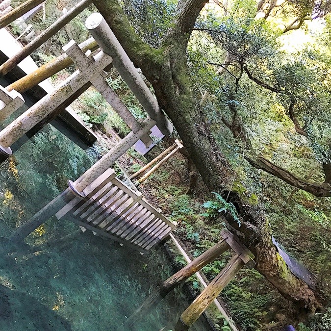 鹿島神宮の御神水みたらし