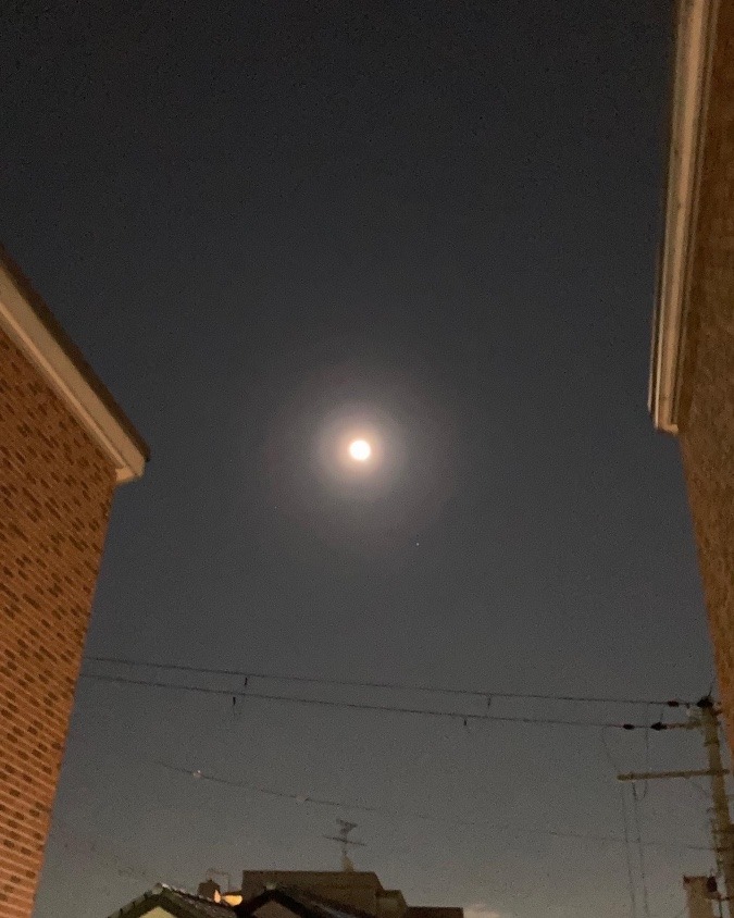 明日は獅子座の満月🌕