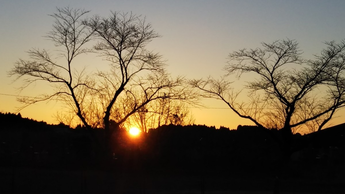 今日の夕日