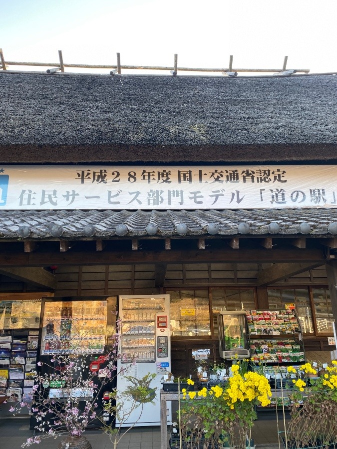 南九州道の駅巡り②茅葺き屋根の道の駅