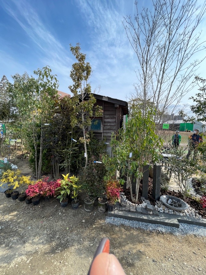 植木市で可愛い小屋見つけた🏠