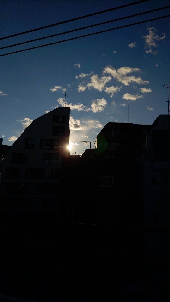 ✨東京に住む弟が見た景色✨