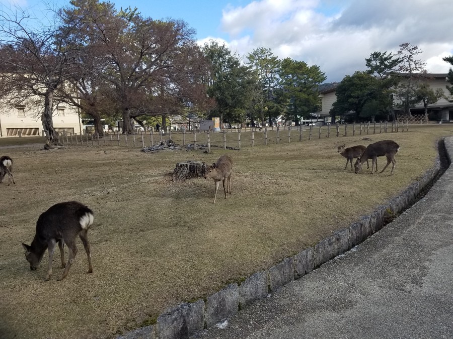 奈良県