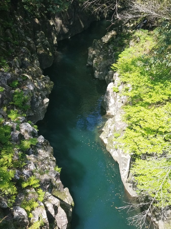 旅の通り道