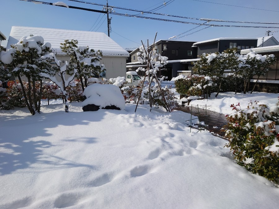 ❄️❄️庭の雪❄️❄️
