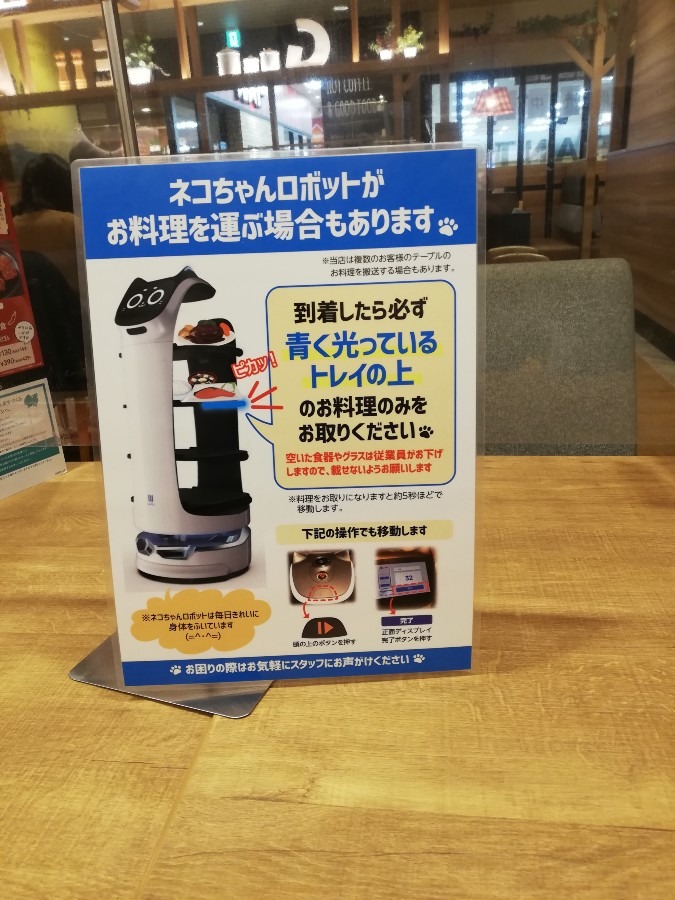 ネコちゃんロボット