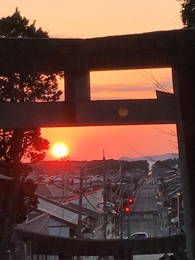 ✨宮地嶽神社　光の道✨