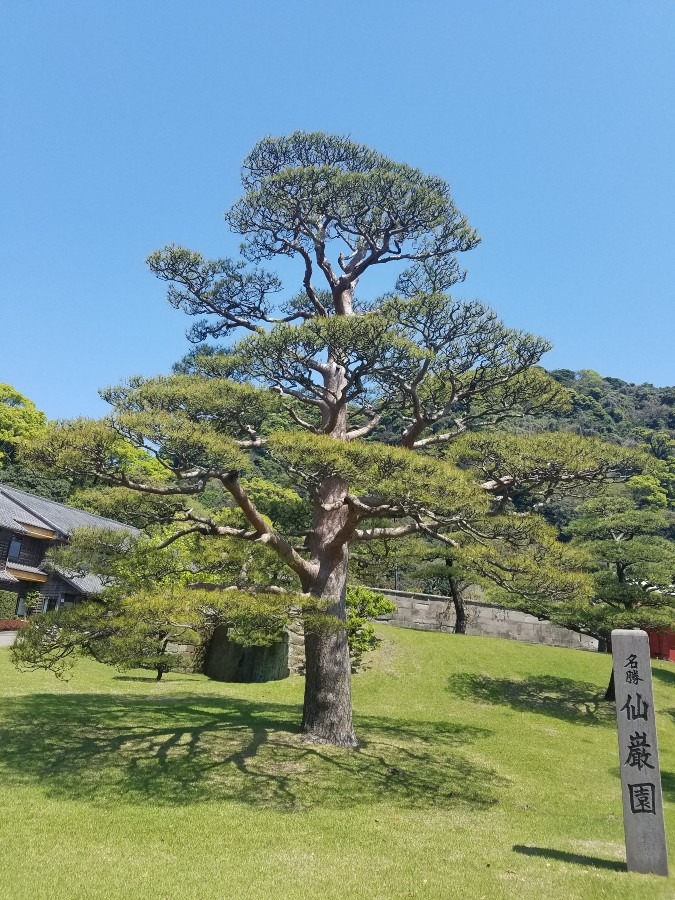 旅の通り道