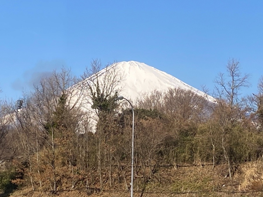 今朝のお顔