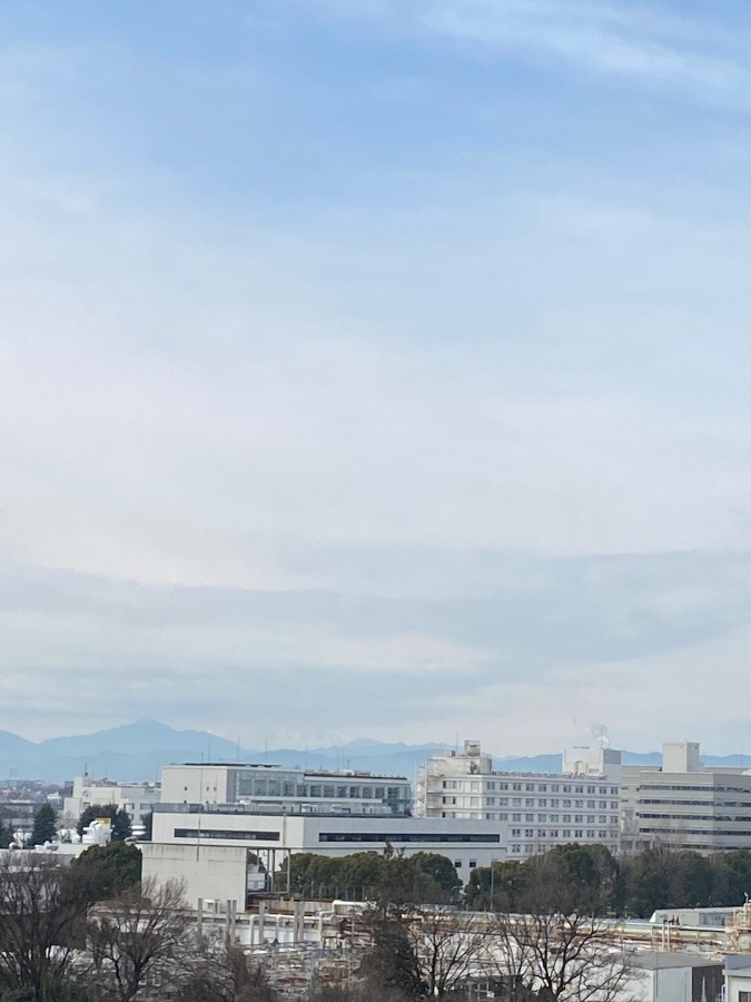 富士山は雲隠れ