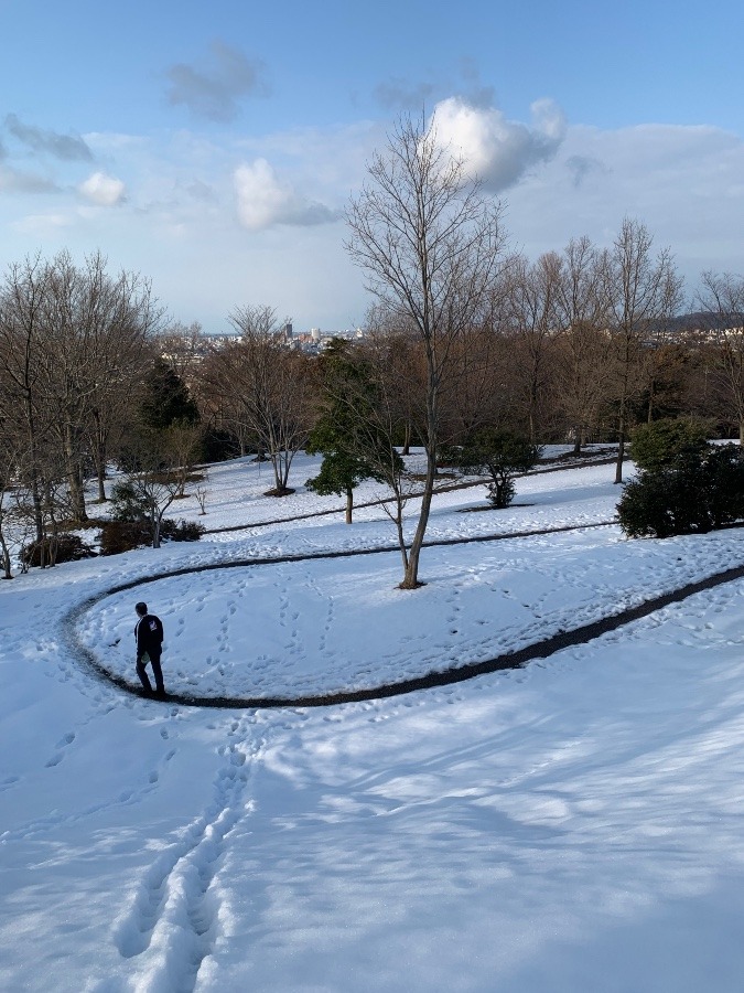 冬の散歩道